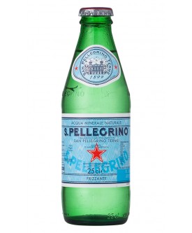 SPARKLING MINERAL WATER 250ML X 24