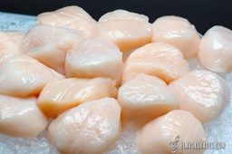 [SCAL/ROEOF-20/30] IQF ROE-OFF SCALLOPS 30/40 1KG
